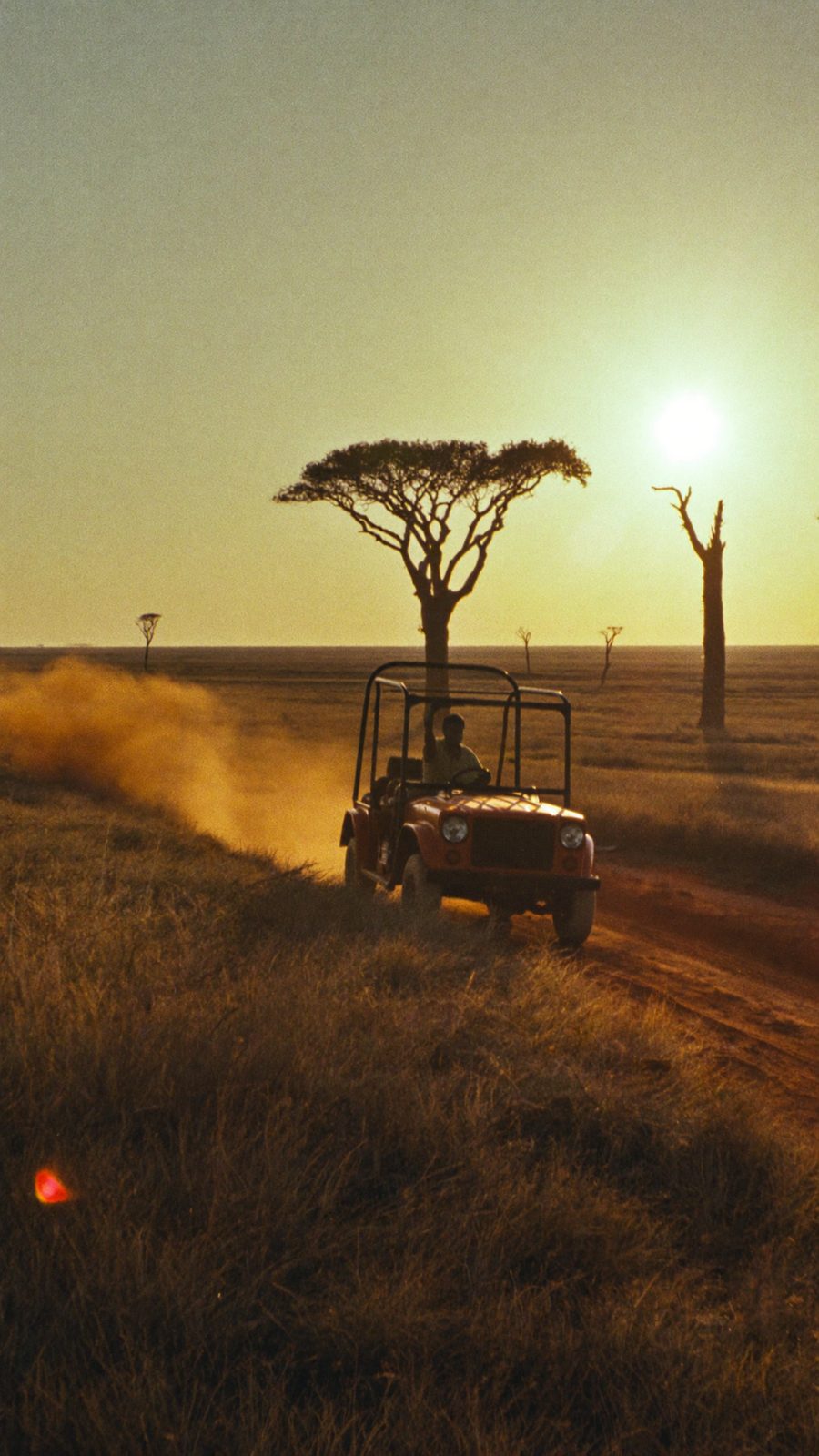Open game vehicle on a dry-season plain, golden dust behind, acacia silhouettes.